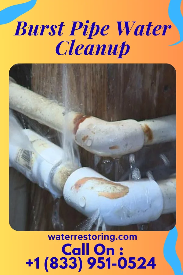 Burst Pipe Water Cleanup in Broughton, OH