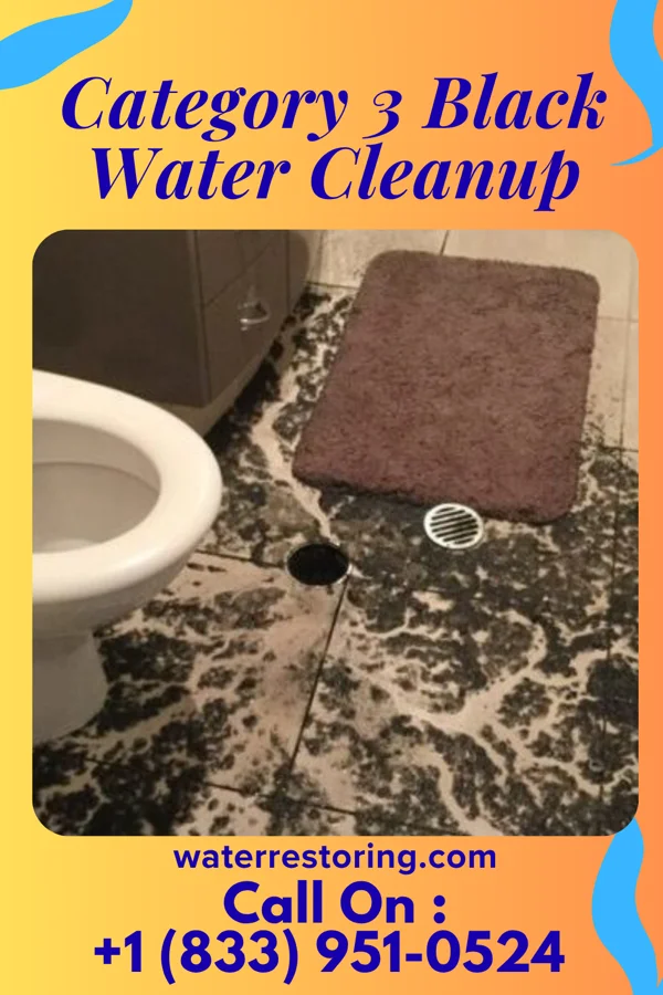 Category 3 Black Water Cleanup in Broughton, OH