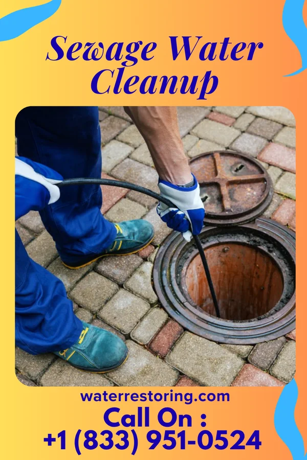 Sewage Water Cleanup in Broughton, OH